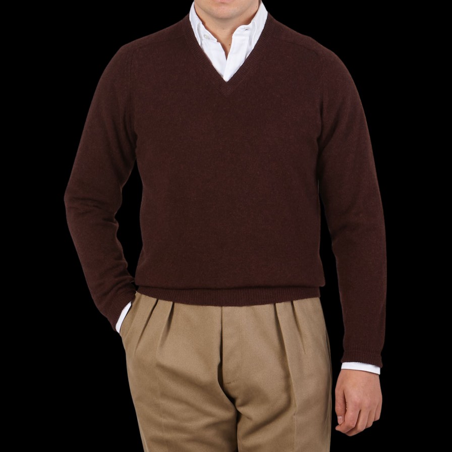 Alan Paine Raisin Brown Lambswool V-Neck Best