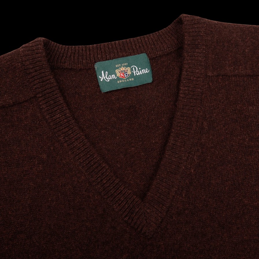 Alan Paine Raisin Brown Lambswool V-Neck Best